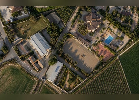 Haus mit Reitanlage