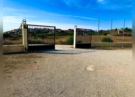 INSTALACIONES HÍPCAS EN LA FAMOSA ZONA DEL MATARRAÑA ESTATE WITH EQUESTRIAN FACILITIES IN MATARRAÑA