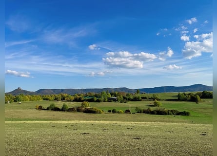 Landwirtschaft mit Reitanlage in traumhafter Lage V14466