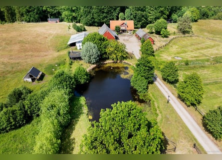 Lebe den Traum am Tor zu Österlen – Reiterhof, Hirschgehege, Fluss.