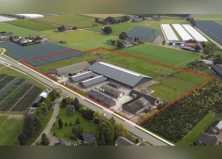 Renovated equestrian facility for sale! 