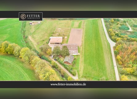*Reserviert* Ruhig gelegener Pferdehof in Lorsch an der Bergstraße mit romantischem Holzhaus!