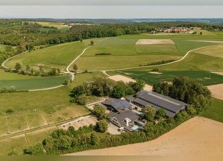 THE RANCH ist mehr als nur ein Zuhause – und weit mehr als ein klassischer Reiterhof