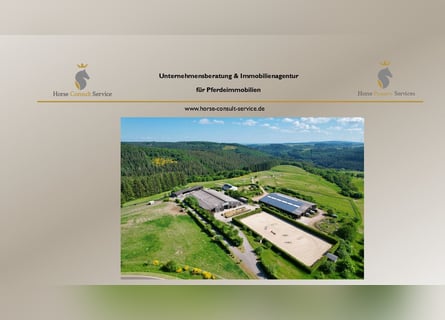 Traumhafte große Reitanlage in Panorama-Lage zwischen Trier und Luxemburg
