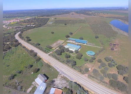 Voll ausgestattete Pferdefinca – 24 ha – Cáceres