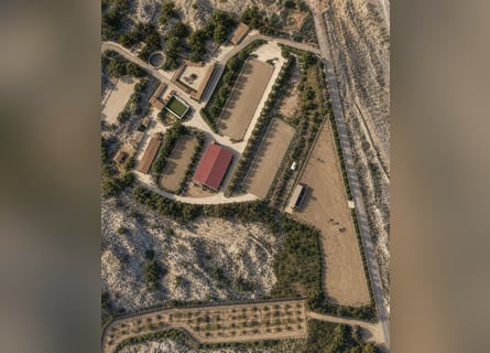 Wunderschönes Reitzentrum in Valencia (Costa Blanca)