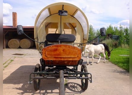 Neuer Planwagen