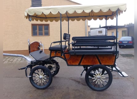 Neue Wagonette m. E-Anlage/Dach