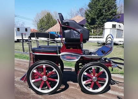 Leon von Hansmeier - Trainingswagen zu verkaufen