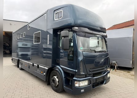 PFERDETRANSPORTER IVECO 15.280 EHC