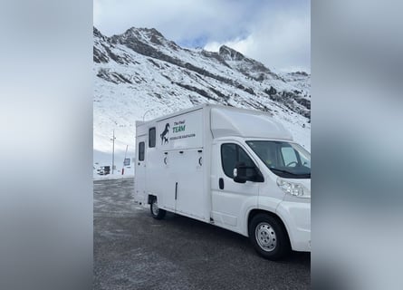 Transporter für 2 Pferde