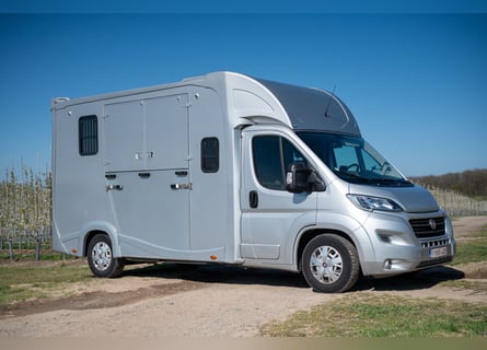 FIAT - DUCATO (2020)