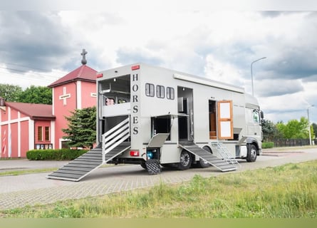Koniowóz DAF XF 480 / EURO 6 / zabudowa specjalna na 4 KONIE