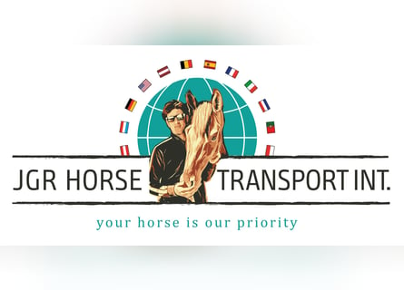 Pferdespedition,Pferdetransport im VIP-Liner,2er Pferde-LKW,Transport