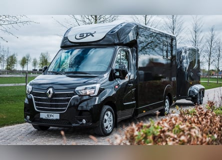 STX 2 Horses Hengst – Mehrere Versionen erhältlich!