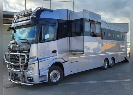 Mercedes-Benz Actros 2551 Horse Truck + Living (2017) —  5–6 horses — 23.236 km — Euro 6