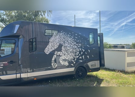 Pferdetransporter 3,5 t