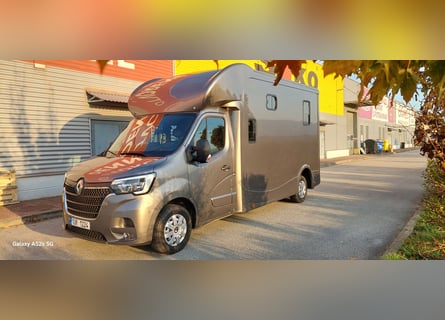Pferdetransporter Renault Master ATM 5-Sitzer mit 2 J.Garantie