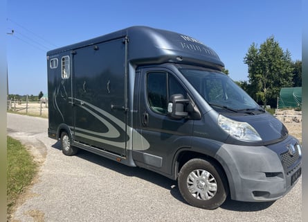 Pferdetransporteuer Peugeot Boxer