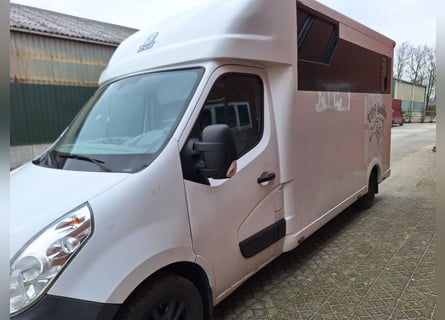 Renault Master Theault paardenwagen hengsten uitvoering