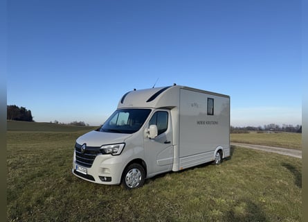 Renault Pferde-Sprinter – 2-Pferde