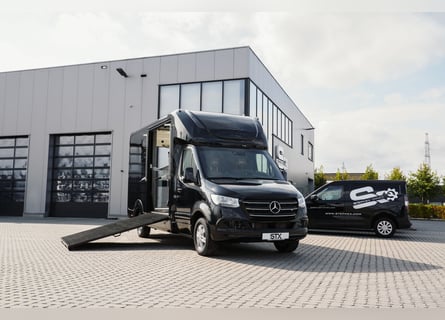 STX 2 Horse – Exclusive Mercedes Sprinter