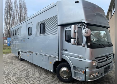 Top LKW für bis zu 6 Pferde 