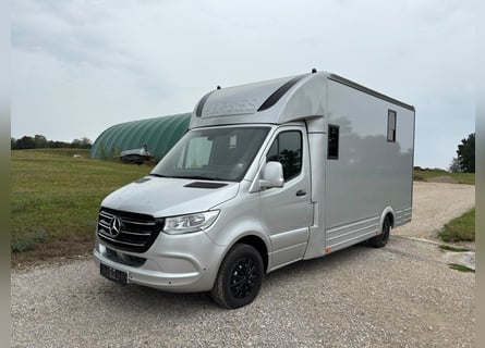 Pferdetransporter Mercedes Sprinter 200 PS Aufbau 2026 5 Sitze