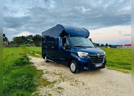 Zum verkaufen Pferdetransporter Renault ATM Haras / 5-Sitzer NEW