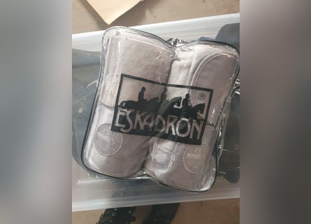 Eskadron Silber 