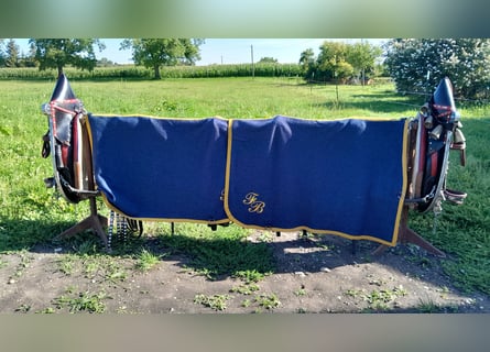 Festtagsgeschirr  für Kaltblüter 