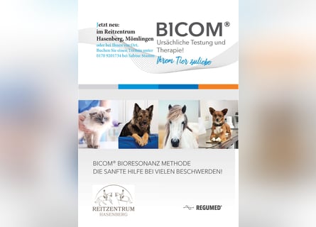 Bicom® Bioresonanz Methode - Ursächliche Testung und Therapie für Ihr Tier