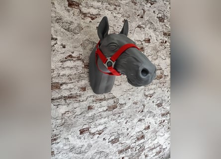 Halfter für Shetlandpony "Rot"