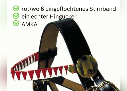 Zierhalfter Prunkhalfter Showzaum Fahrhalfter Messing für Kaltblut - Noriker usw.