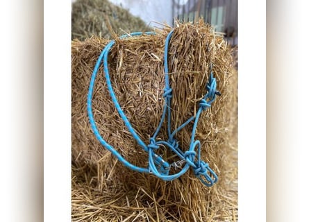FREE RIDING Knotenhalfter + Zügeln ICY Knotenhalfter gebisslos UVP 39€