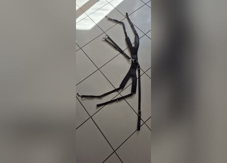 Passier Vorderzeug Auriga