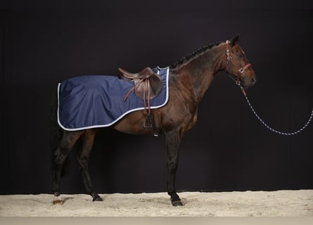 2 Ausreitdecken 600D Ripstop 125/175 cm