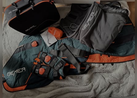 Bemer Horse Set 