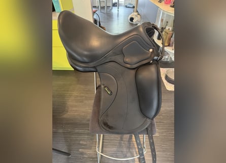 Amerigo Ceriva II 17‘5 Zoll