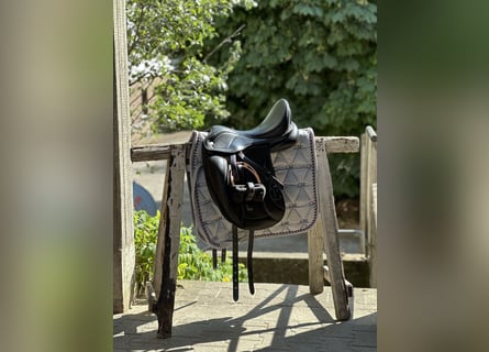 Dressage Evolution EVOD02 17" Schwarz/Lack