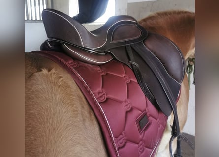 Philimar Dressursattel 18er Sitz Dunkelbraun