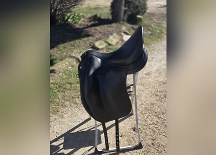 ✨ Selle Childeric DPL 17.5 – 2020 ✨