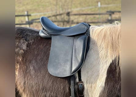 Ponysattel für Erwachsene, extra kurz 40 cm, Probeversand — Isländer Haflinger Tinker Welsh COB
