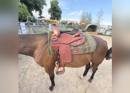 16" Westernsattel zu verkaufen