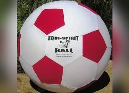 Equi-Spirit Horse Ball