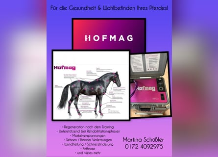 Hofmag Behandlung für dein Pferd!