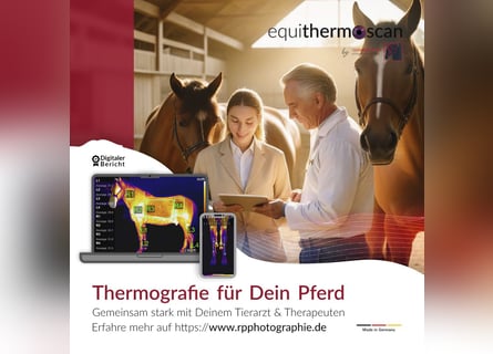 Pferdethermografie und Sattelkontrolle equithermoscan