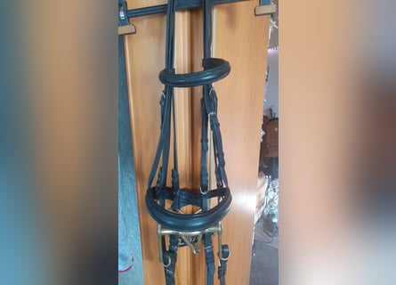 Dressurkandarenzaum WB inkl. Sprenger Aurigan Kandare+Unzerlegtrense + Zügel&Kinnkette