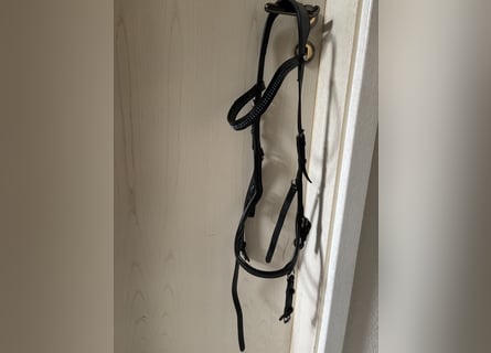 Micklem großes Warmblut