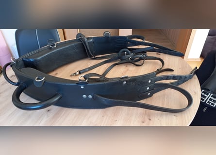 Voltigiergurt von Kavalkade incl.Unterlage und Bauchgurt